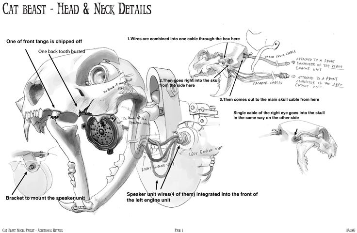 Cat Beast Head and Neck Details